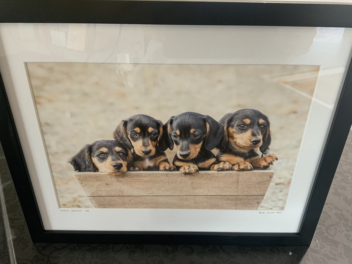 Photography Framed Print